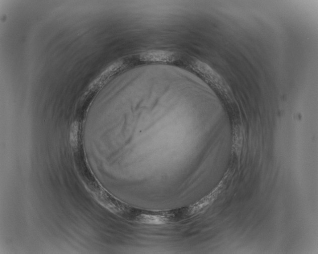 X0000085010167200703261204