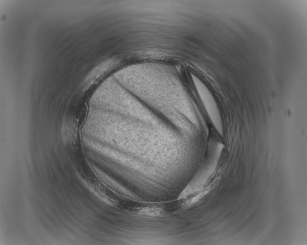 X0000085010168200703261204