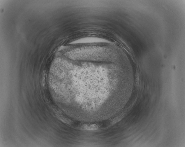 X0000085010169200703261204