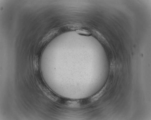 X0000085010170200703261204