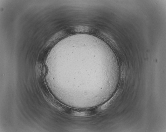 X0000085010171200703261204