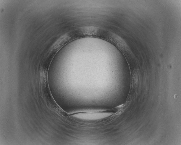 X0000085010172200703261204