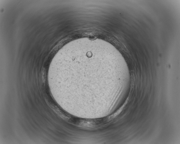 X0000085010174200703261204