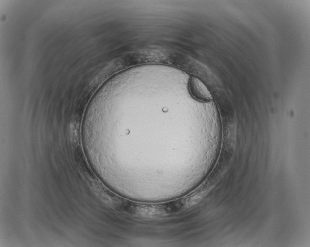 X0000085010177200703261204