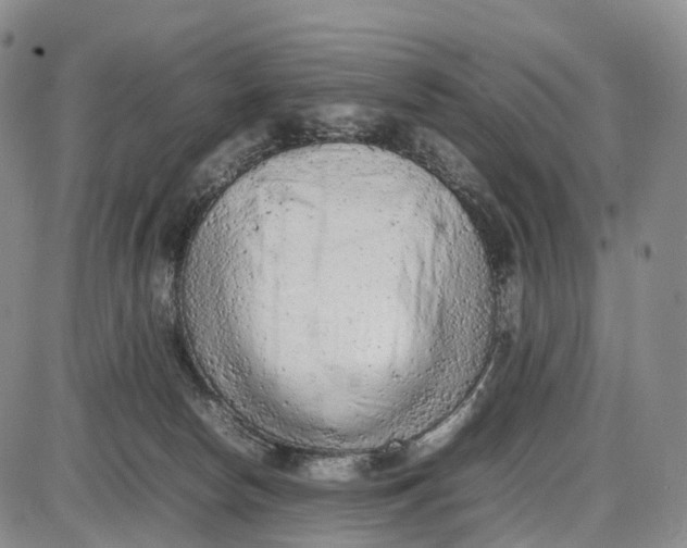 X0000085010178200703261204