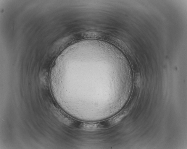 X0000085010181200703261204