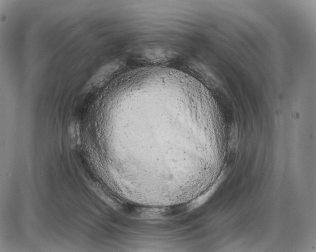 X0000085010182200703261204