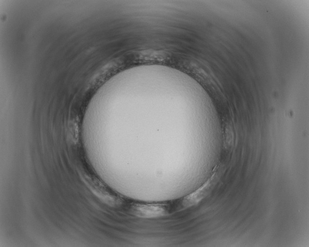 X0000085010183200703261204