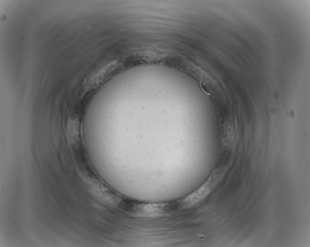 X0000085010184200703261204