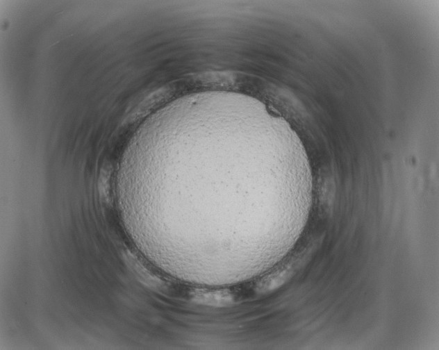 X0000085010185200703261204