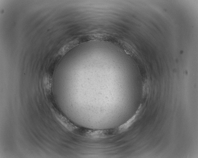 X0000085010186200703261204