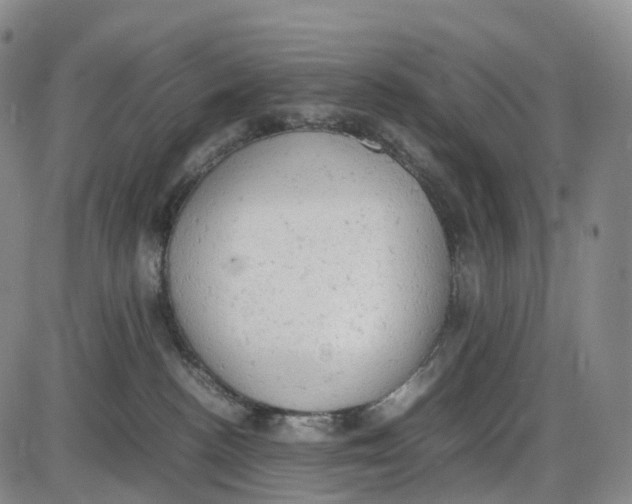 X0000085010188200703261204