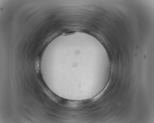 X0000085010190200703261204