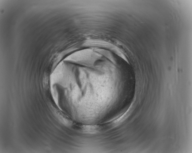 X0000085010192200703261204