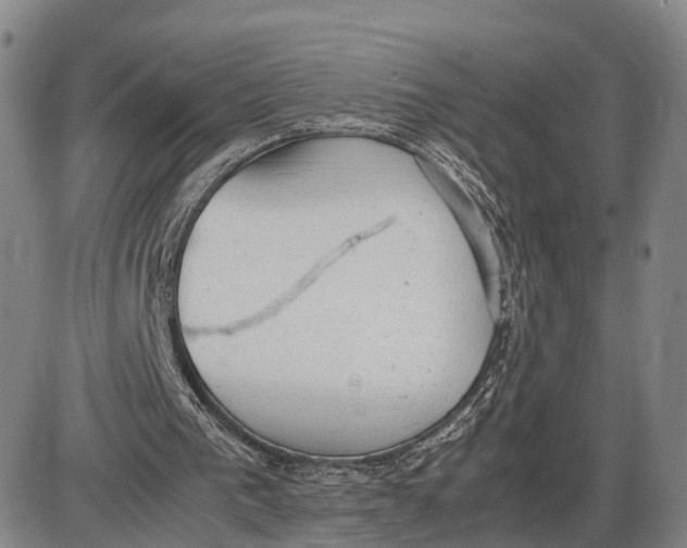 X0000085010193200703261204