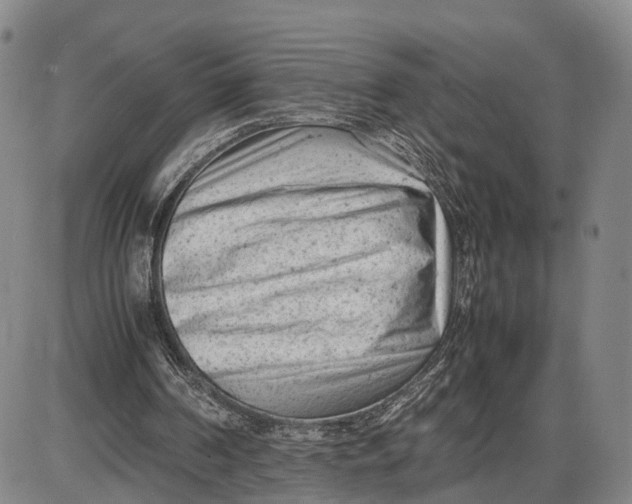 X0000085010194200703261204