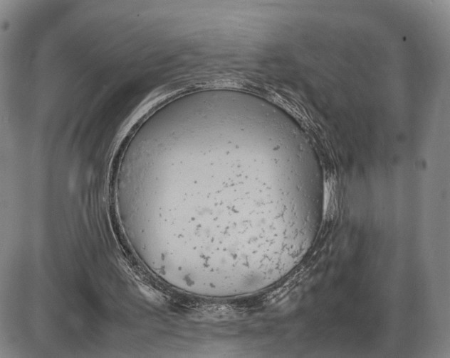 X0000085010195200703261204