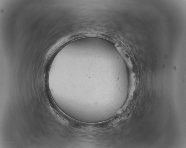 X0000085010197200703261204