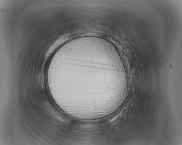 X0000085010198200703261204