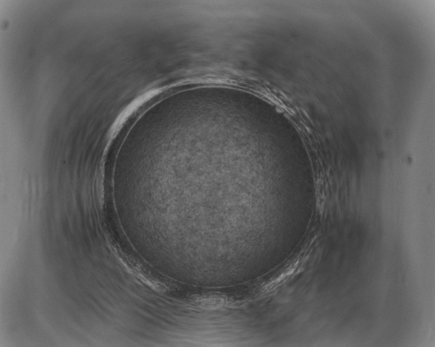 X0000085010200200703261203