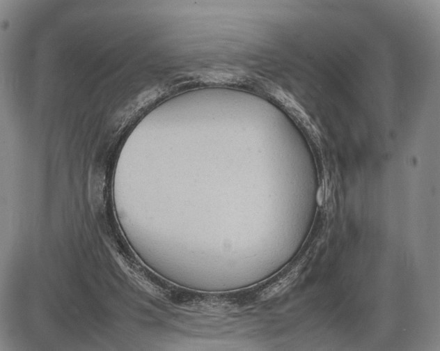 X0000085010201200703261203