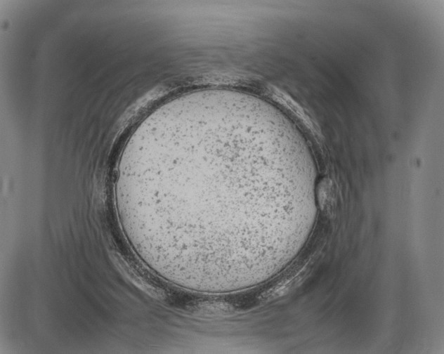 X0000085010203200703261203