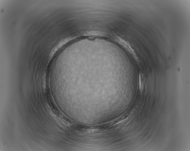 X0000085010204200703261203