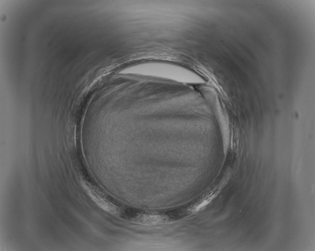 X0000085010205200703261203