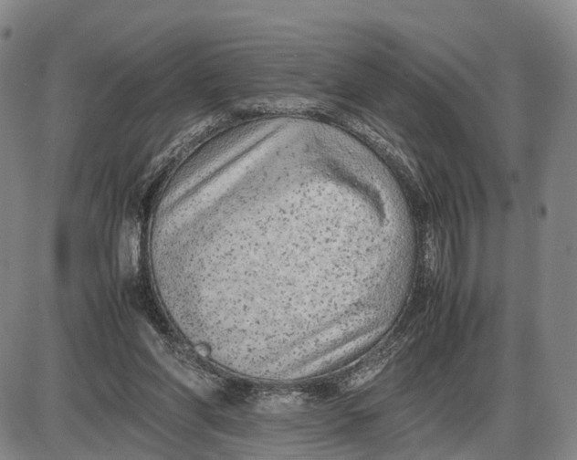 X0000085010206200703261203