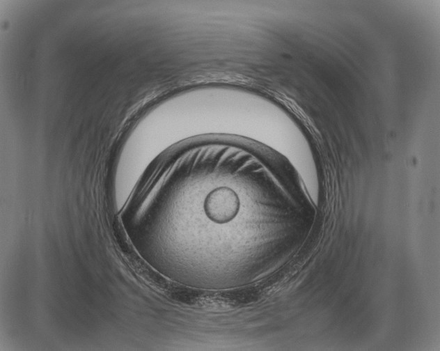 X0000085010207200703261203