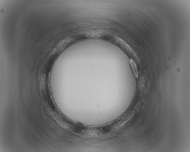 X0000085010209200703261203