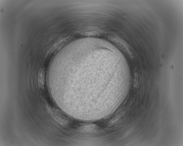 X0000085010210200703261203