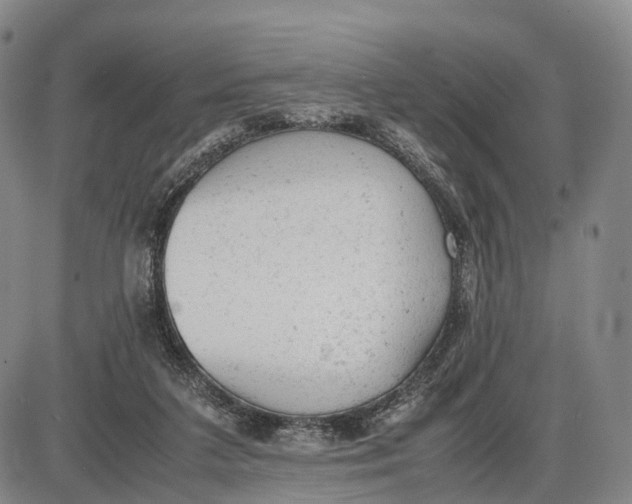 X0000085010211200703261203