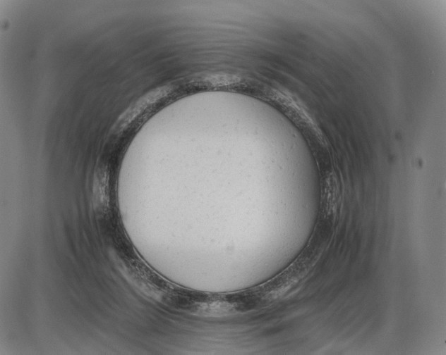 X0000085010212200703261203