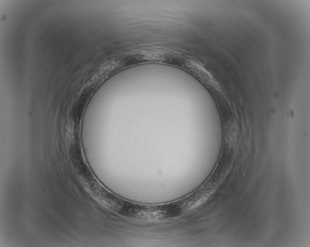 X0000085010213200703261203