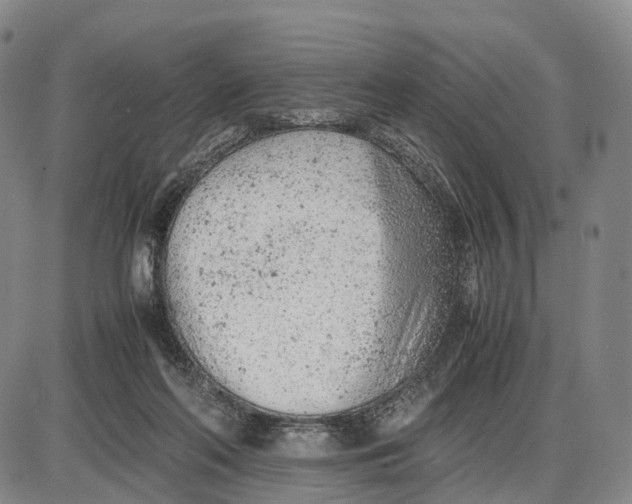 X0000085010214200703261203