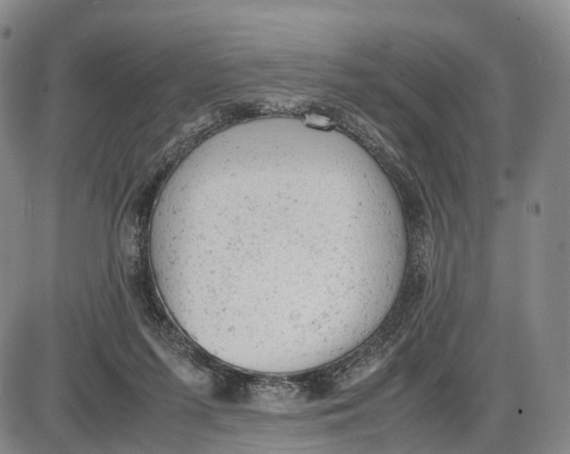 X0000085010215200703261203