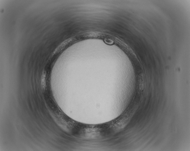 X0000085010216200703261203