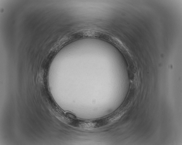 X0000085010217200703261203