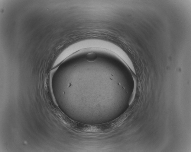 X0000085010219200703261203