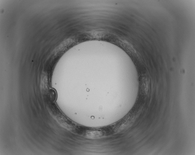 X0000085010220200703261203