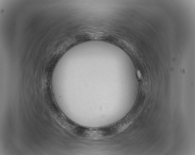 X0000085010221200703261203