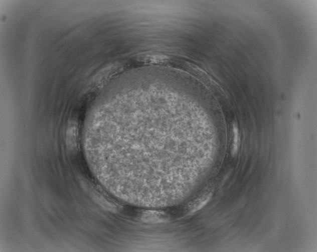 X0000085010222200703261203