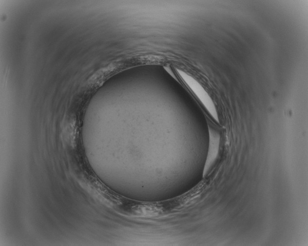 X0000085010223200703261203