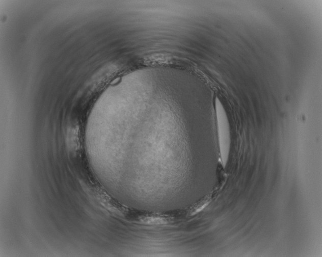 X0000085010224200703261203