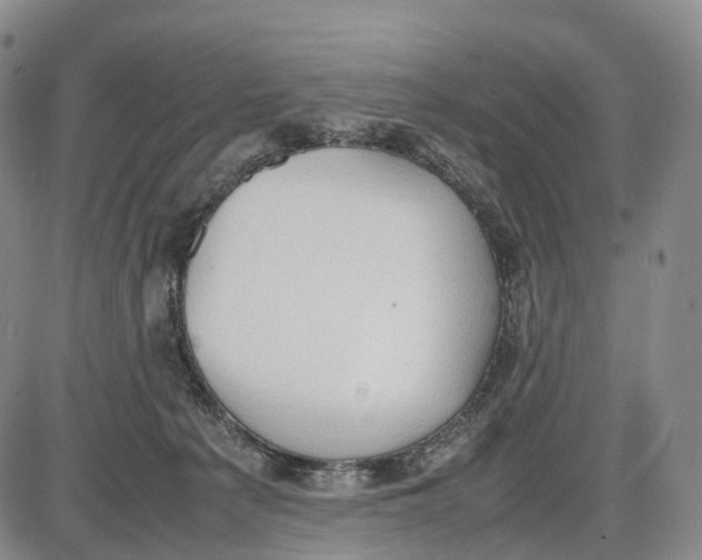 X0000085010225200703261203