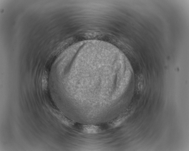 X0000085010226200703261203