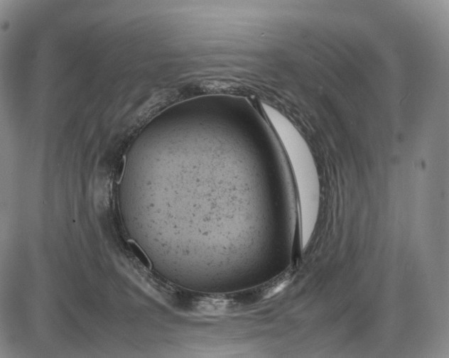 X0000085010227200703261203