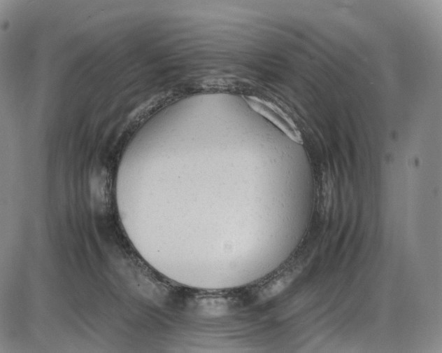 X0000085010228200703261203