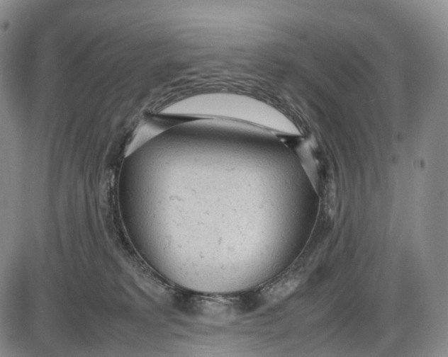 X0000085010229200703261203